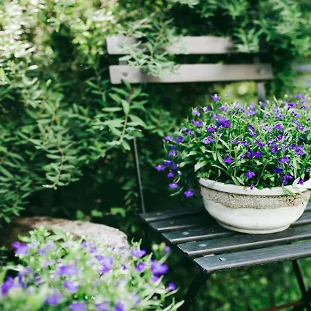 Charlestown Bed and Breakfast Charleville-Mézières