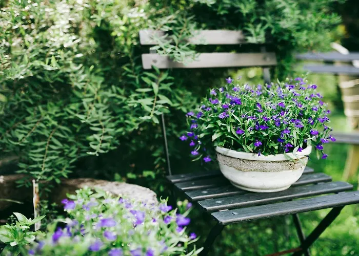 Charlestown فندق مبيت وإفطار Charleville-Mézières